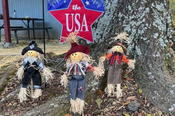 Plum-Hollow-Farm-Camping_6