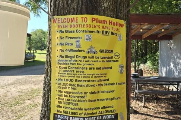 Plum-Hollow-Festival-Gallery_2