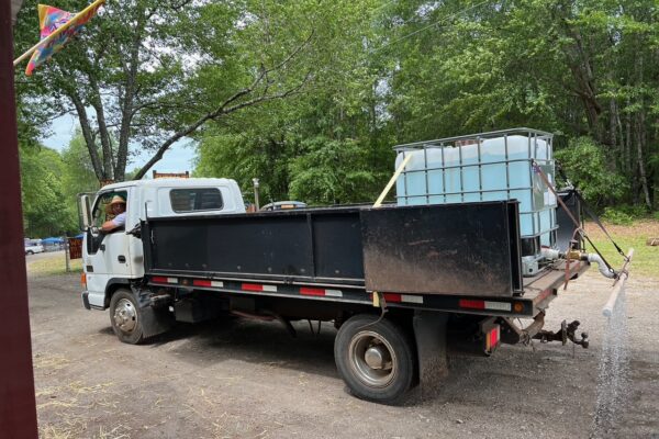 Plum-Hollow-Festival-Gallery_5