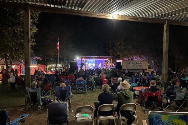 Plum-Hollow-Festival-Gallery_8