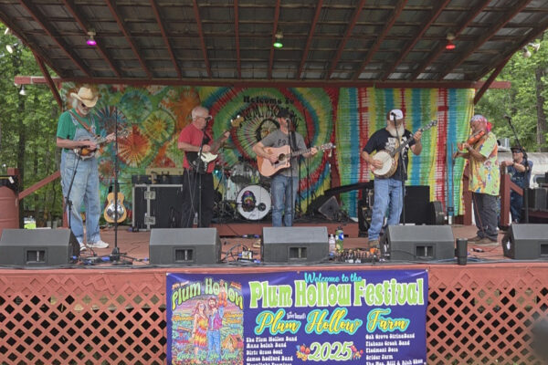 Spider Farm Spider Farm